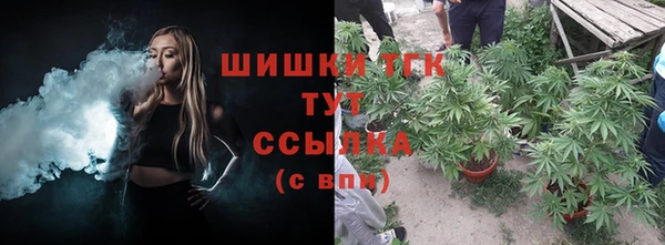 ALPHA PVP Аркадак