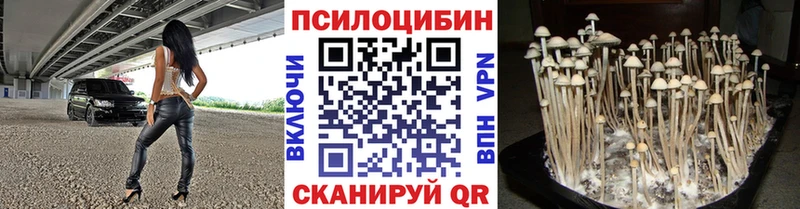 Галлюциногенные грибы Psilocybine cubensis  Нефтекамск 